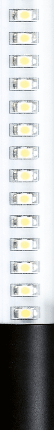 Rectangle