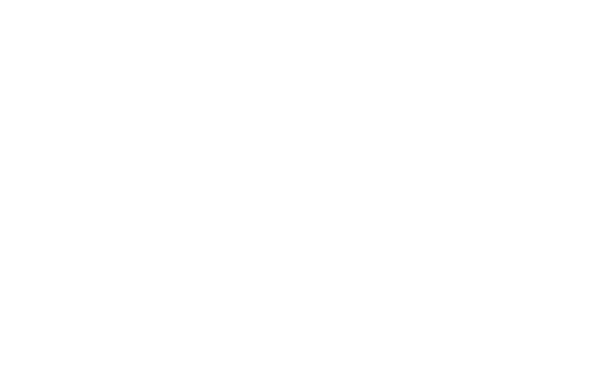 • BOOST MODE • Practical clip on holster for the work belt • One hand operated magnetic switch • Higher lumen output ...